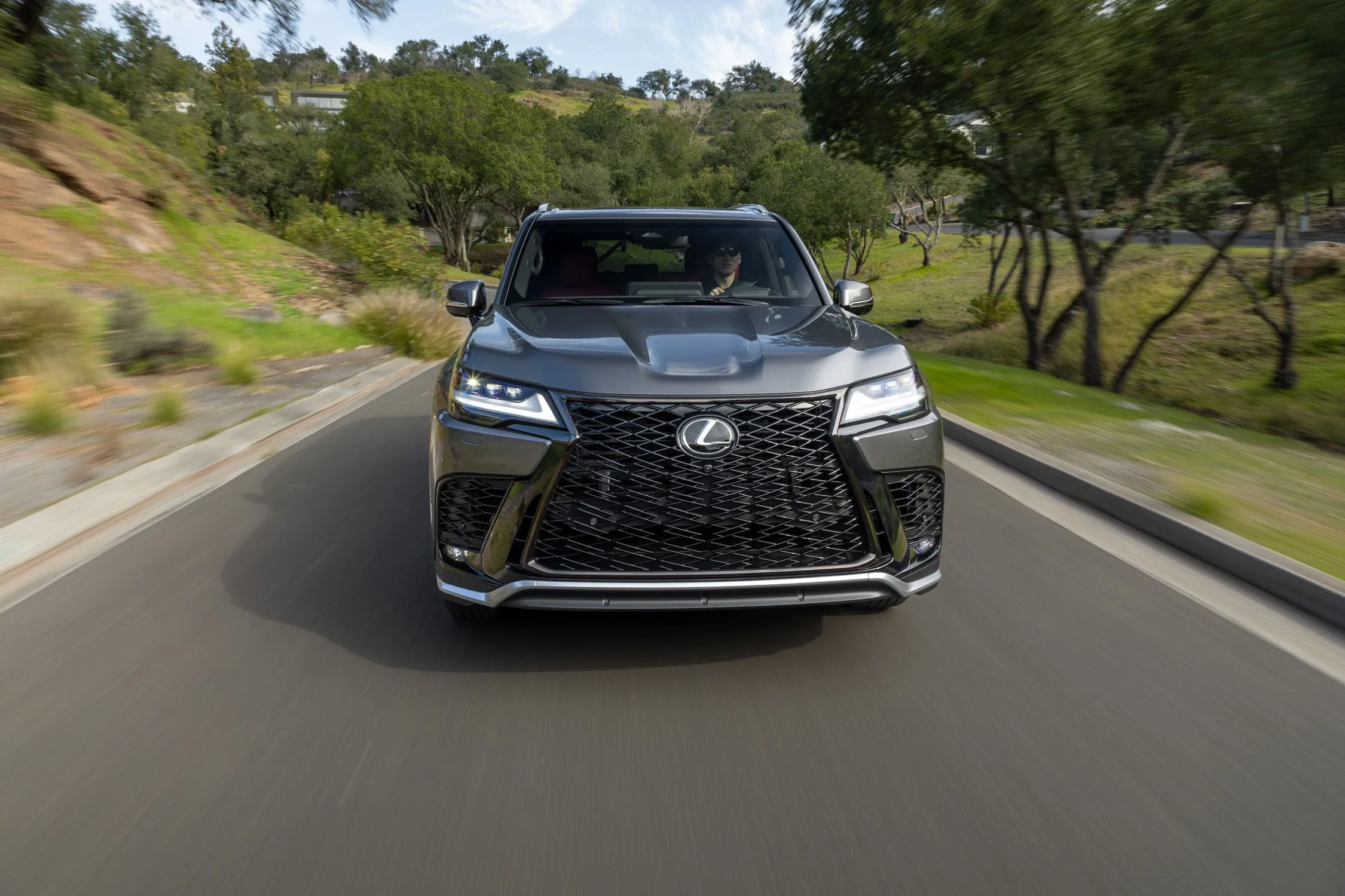 2025 Lexus LX Hybrid 28