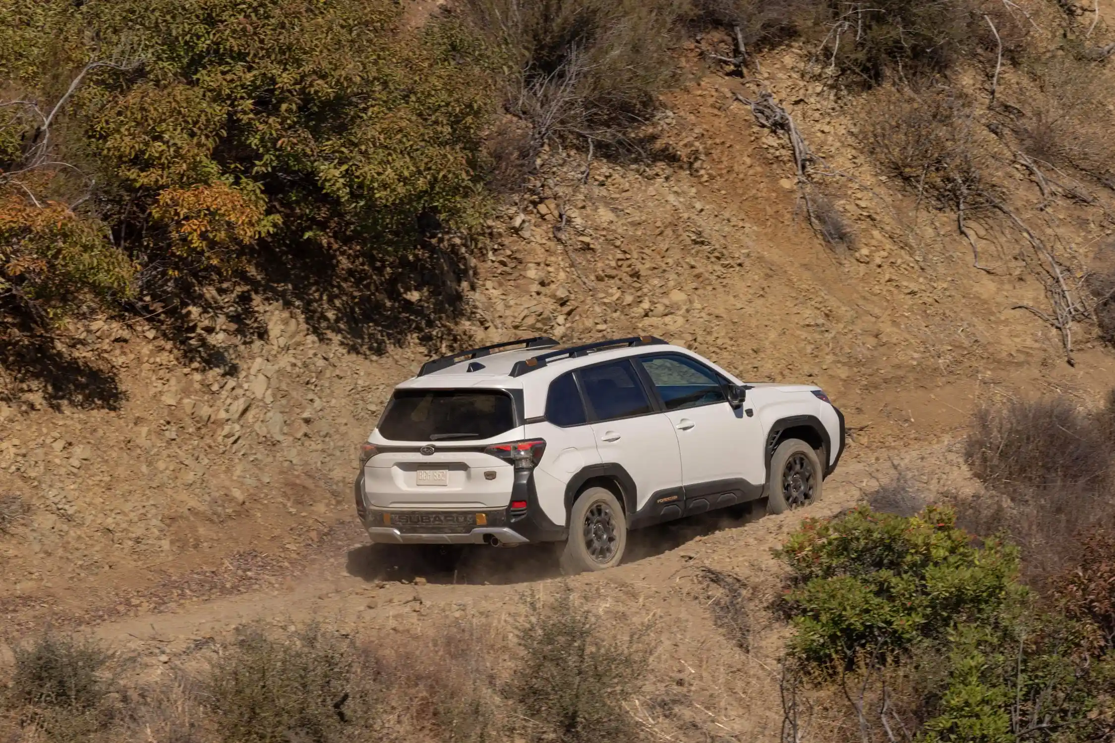 2026 Subaru Forester Wilderness 06