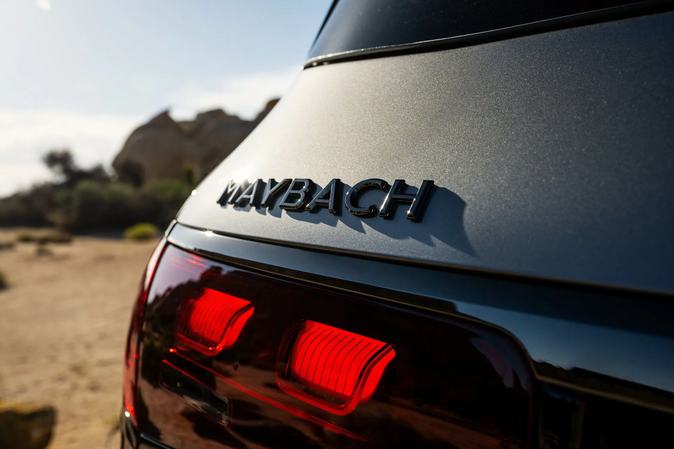 2025 Mercedes Maybach GLS 600 10