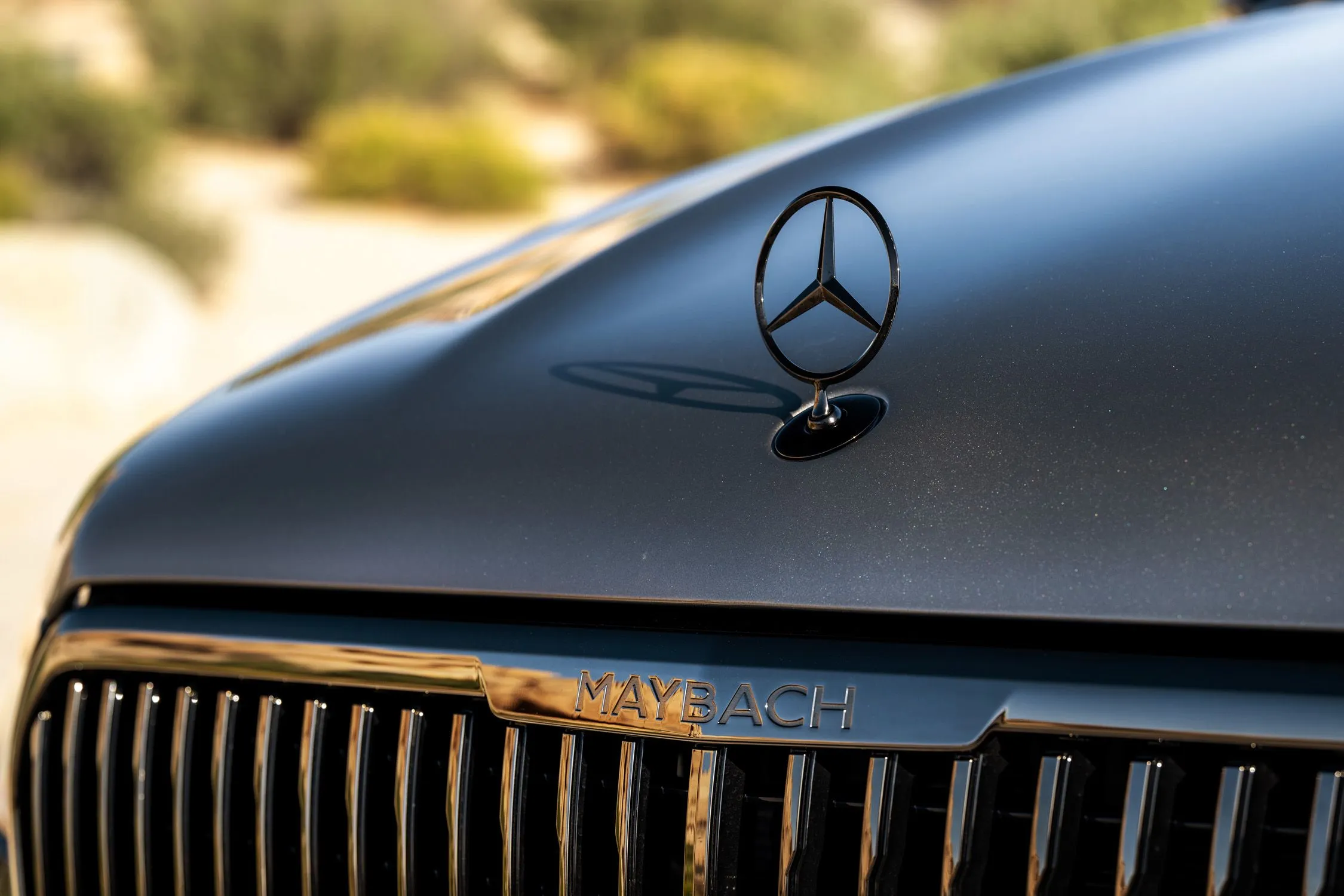 2025 Mercedes Maybach GLS 600 17