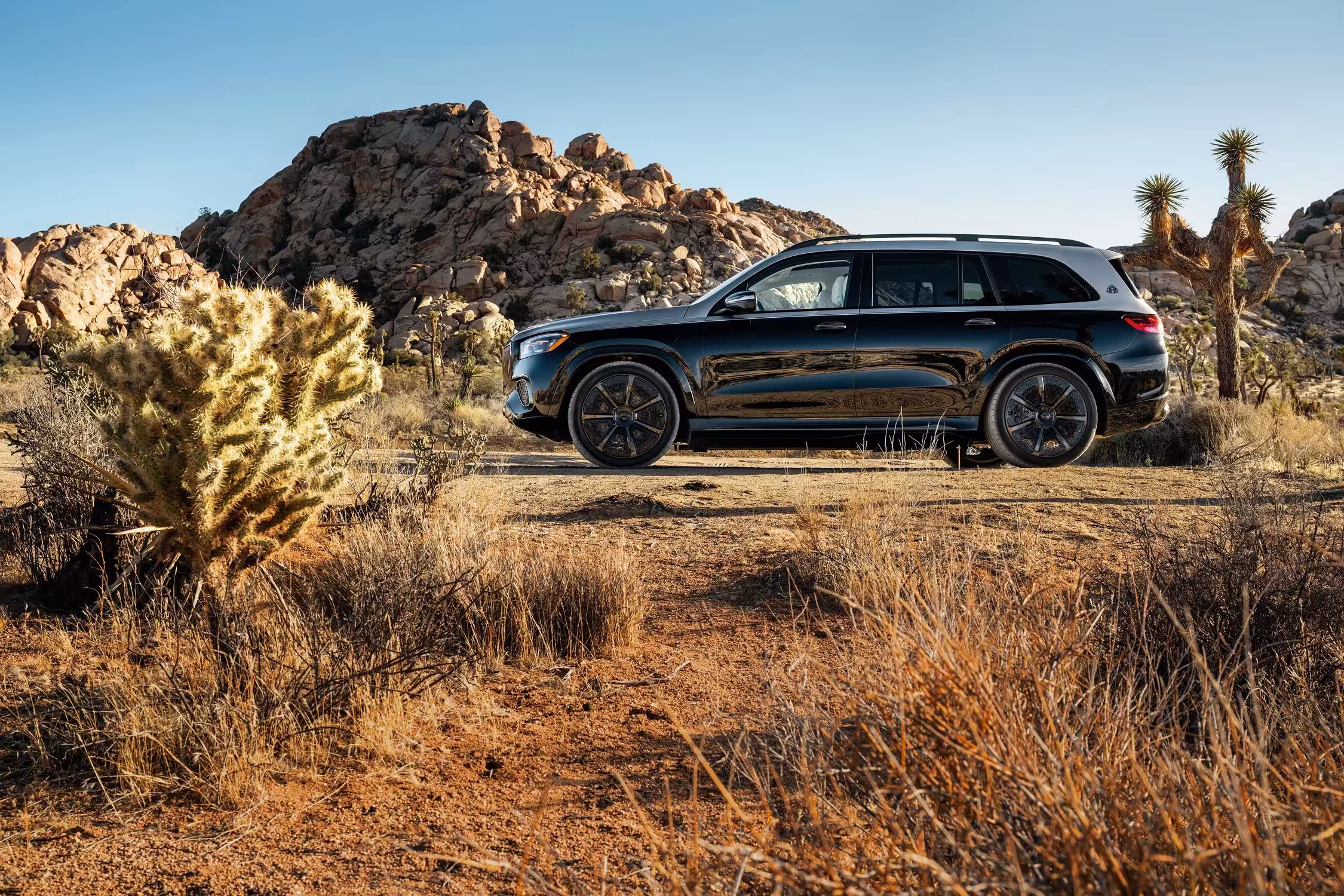 2025 Mercedes Maybach GLS 600 A12