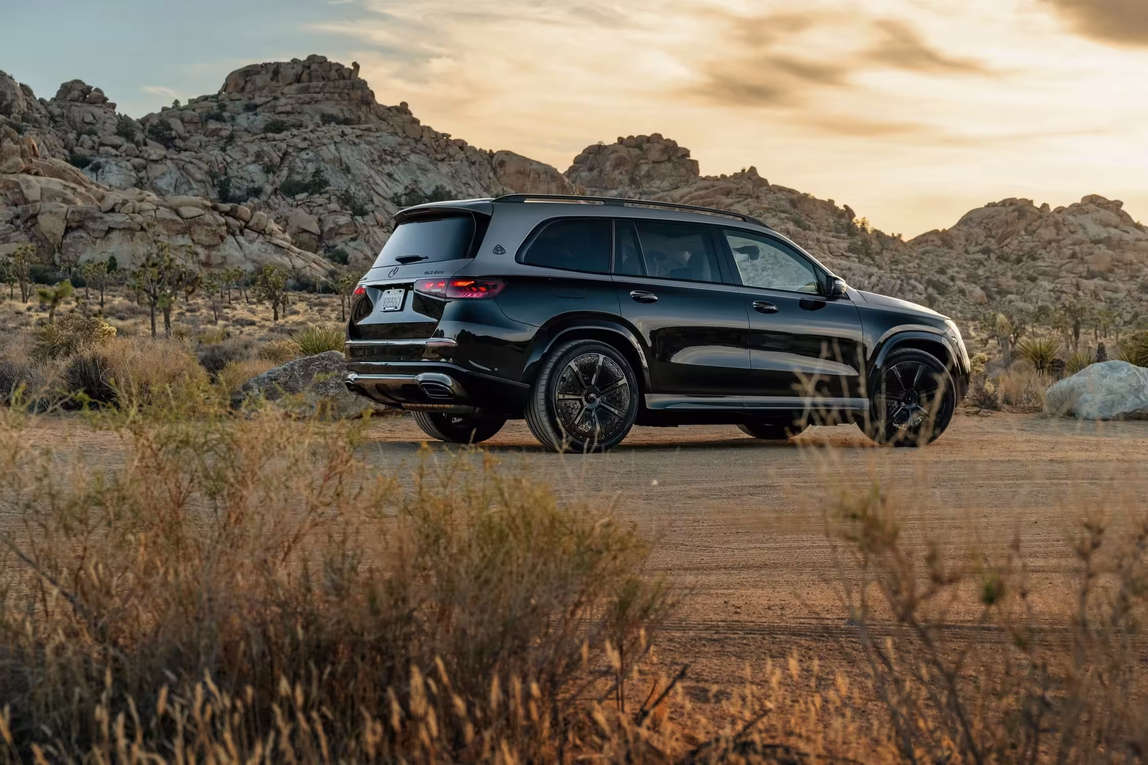 2025 Mercedes Maybach GLS 600 A13