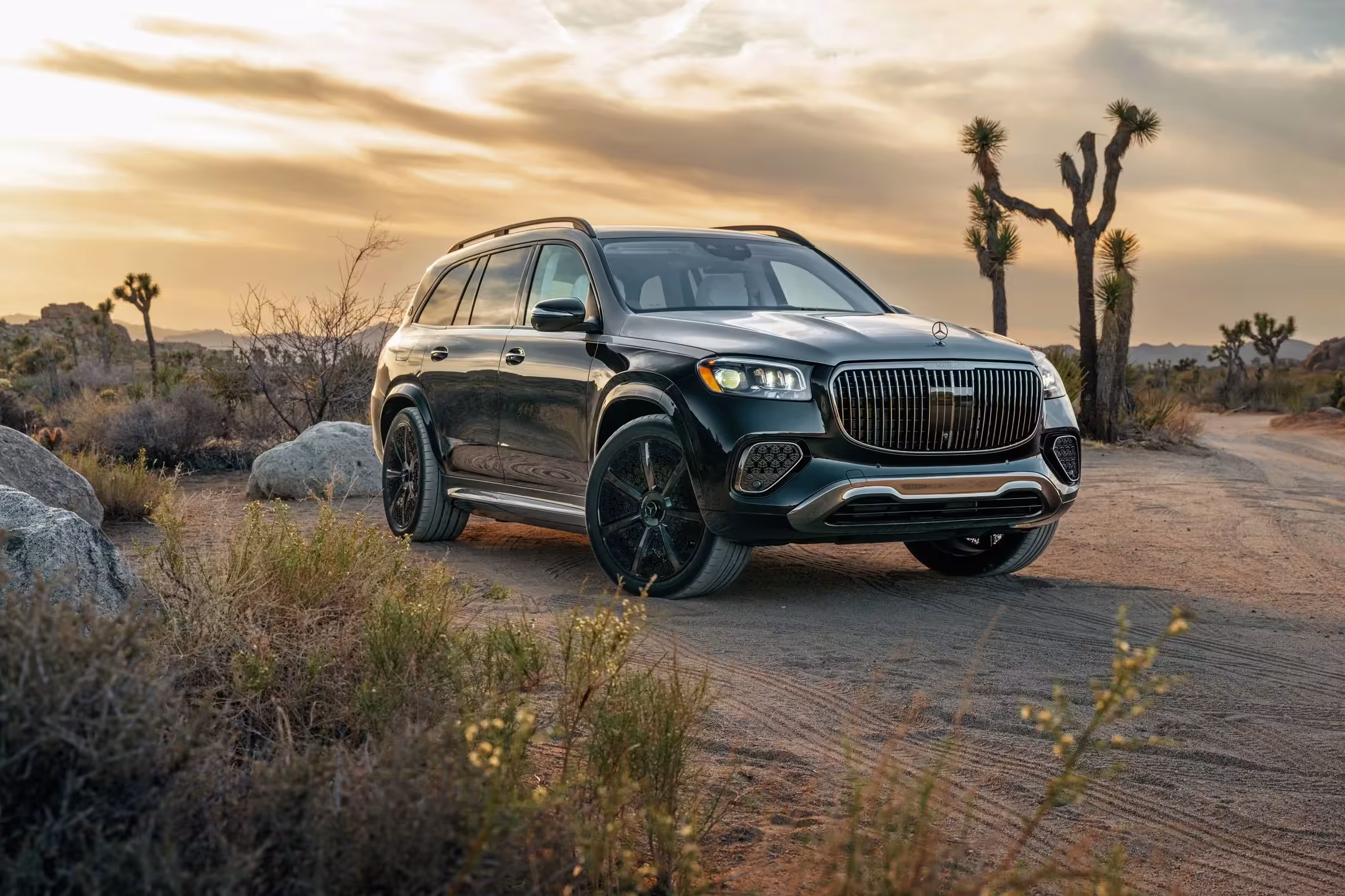 2025 Mercedes Maybach GLS 600 A14