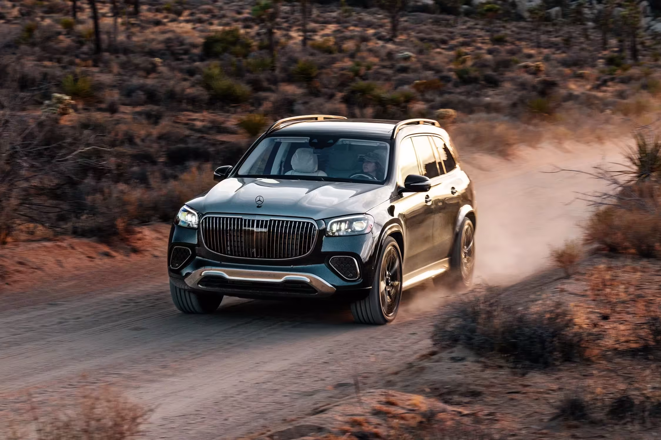 2025 Mercedes Maybach GLS 600 A15